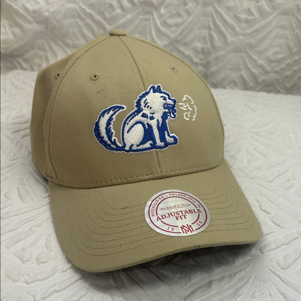 Mitchell & Ness NBA Adjustable Hat – Skunk Graphic – Tan